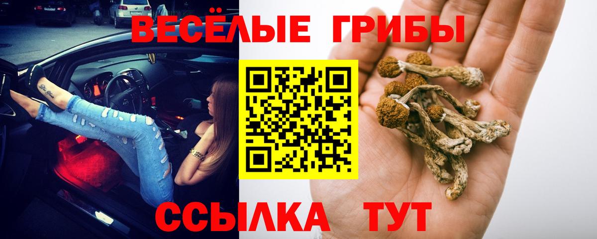 Киров  Псилоцибиновые грибы GOLDEN TEACHER  Галлюциногенные грибы ЛСД  Вход с VPN 